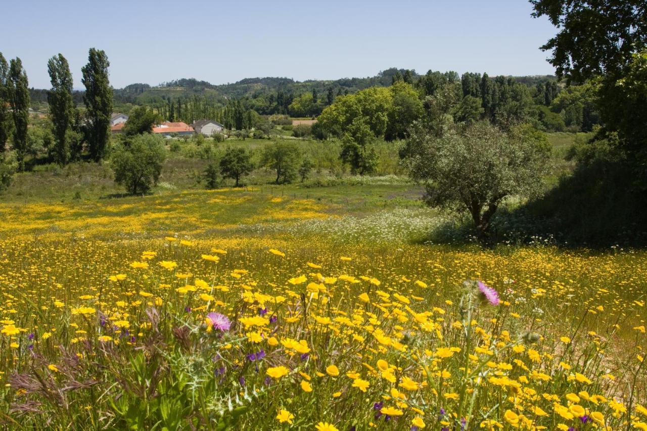Quinta Da Alcaidaria Mor Villa Ourém Dış mekan fotoğraf