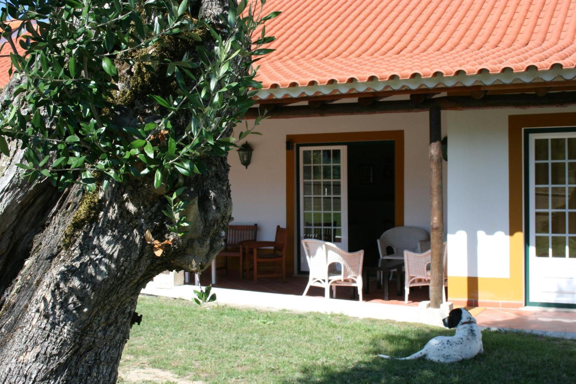 Quinta Da Alcaidaria Mor Villa Ourém Dış mekan fotoğraf
