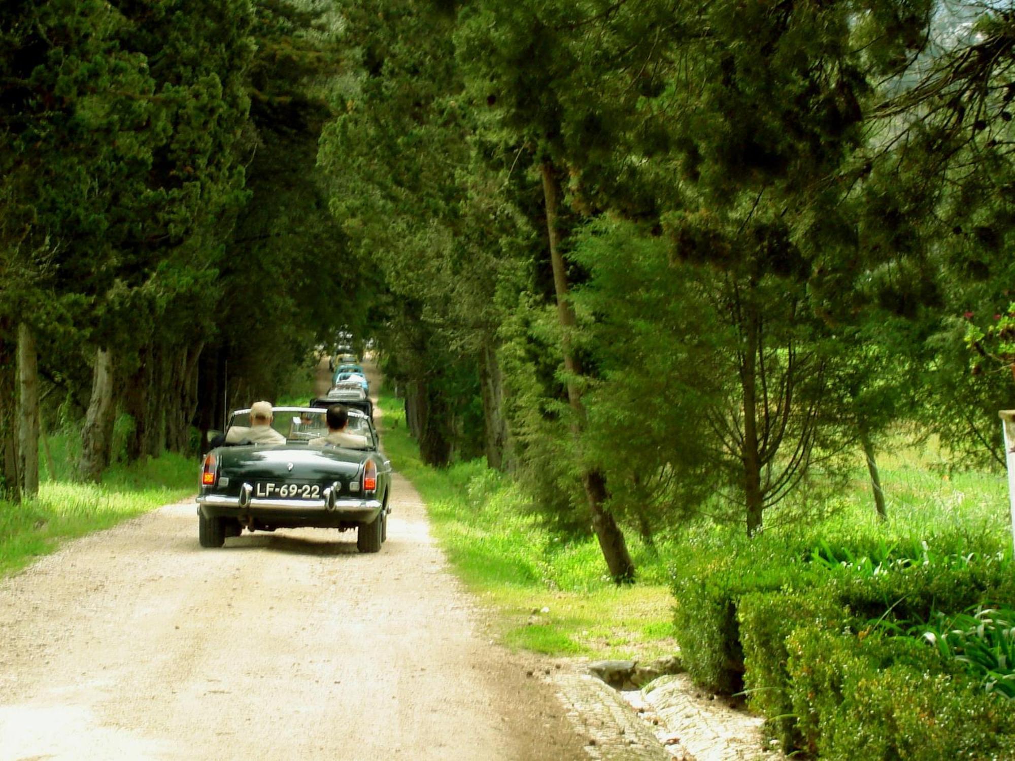 Quinta Da Alcaidaria Mor Villa Ourém Dış mekan fotoğraf