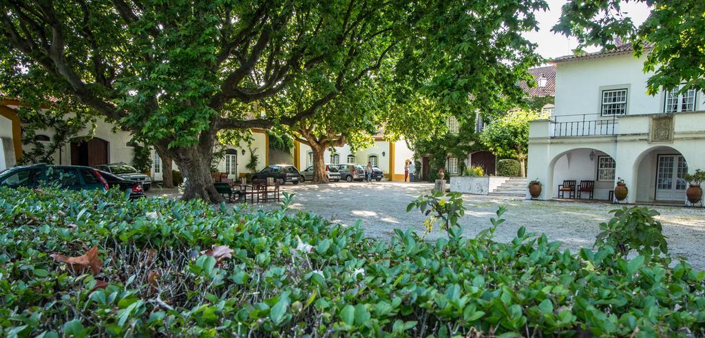Quinta Da Alcaidaria Mor Villa Ourém Dış mekan fotoğraf